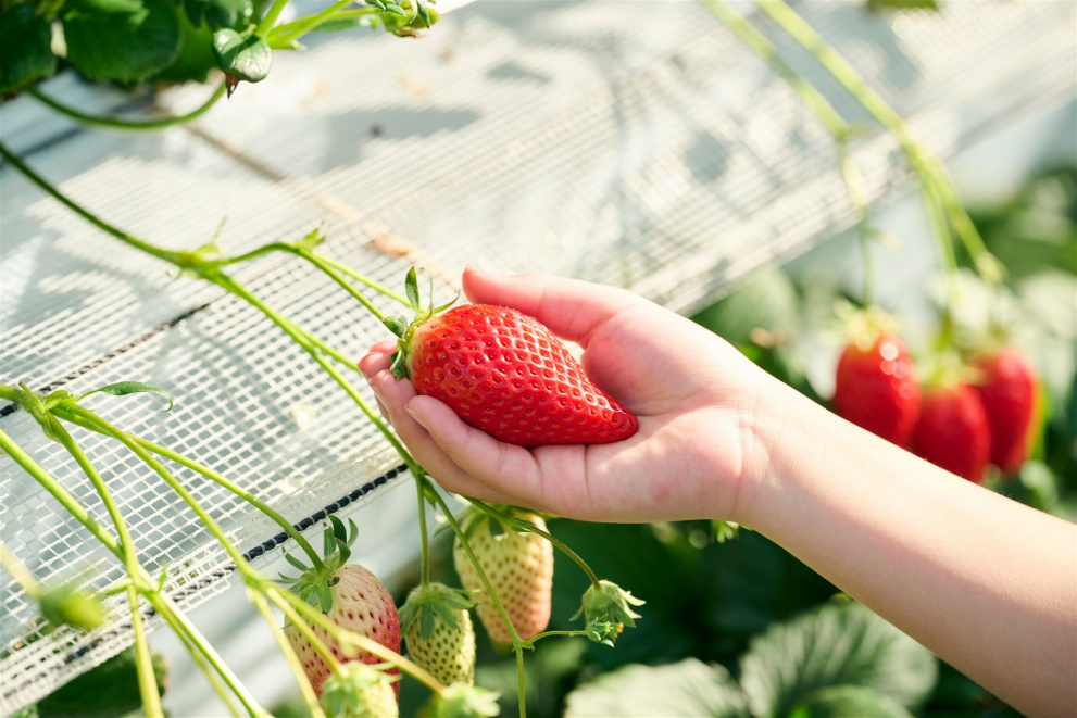 AdobeStock_1397001921